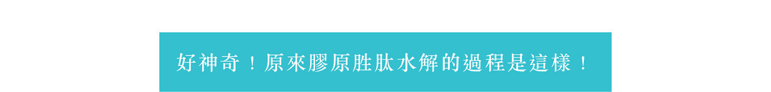 魚鱗膠原蛋白,水解膠原蛋白,膠原蛋白食物,膠原蛋白推薦,膠原蛋白粉,宜禾豐膠原蛋白,北極星Polestar 魚鱗膠原蛋白,水解膠原蛋白,膠原蛋白食物,膠原蛋白推薦,膠原蛋白粉,宜禾豐膠原蛋白,北極星Polestar